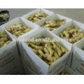 2017 new crop Chinese fresh ginger